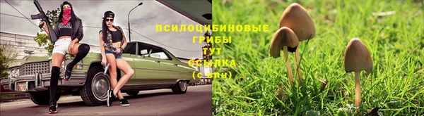 MDMA Premium VHQ Белоозёрский