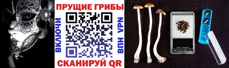 Псилоцибиновые грибы GOLDEN TEACHER  Купить  Лангепас 